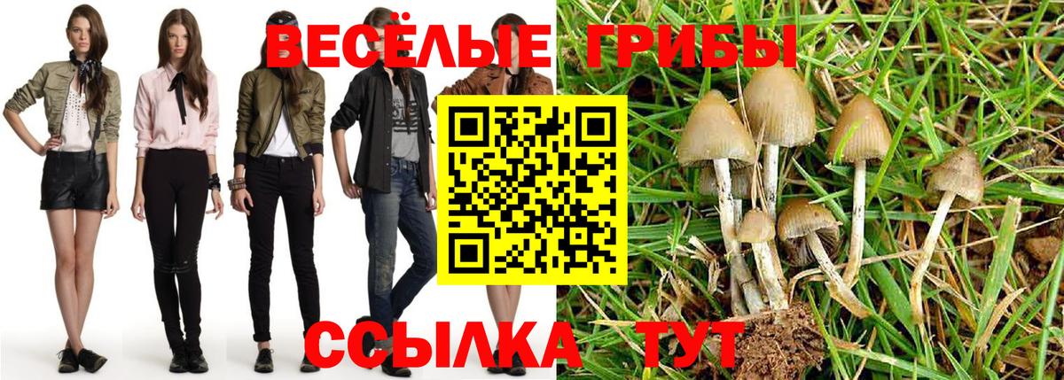 Тосно  Псилоцибиновые грибы мицелий  купить   Вход с VPN 
