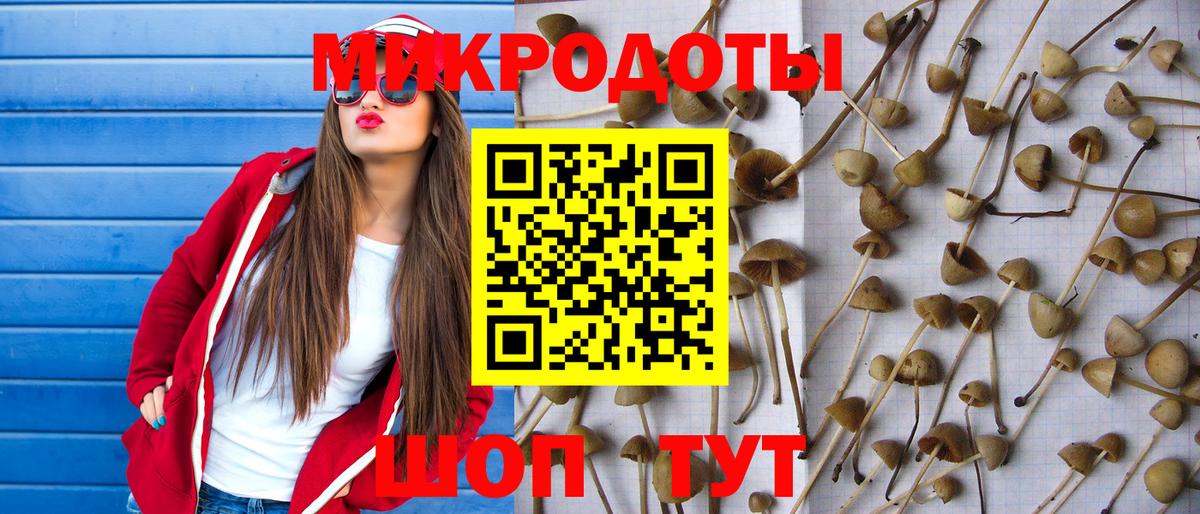 Псилоцибиновые грибы мицелий Тосно