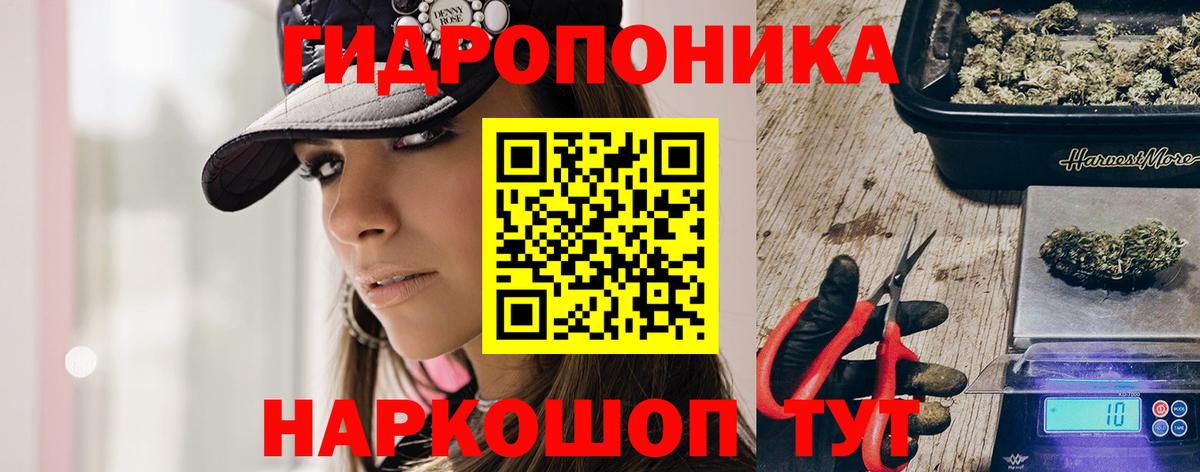 Каннабис ГИДРОПОН Тосно